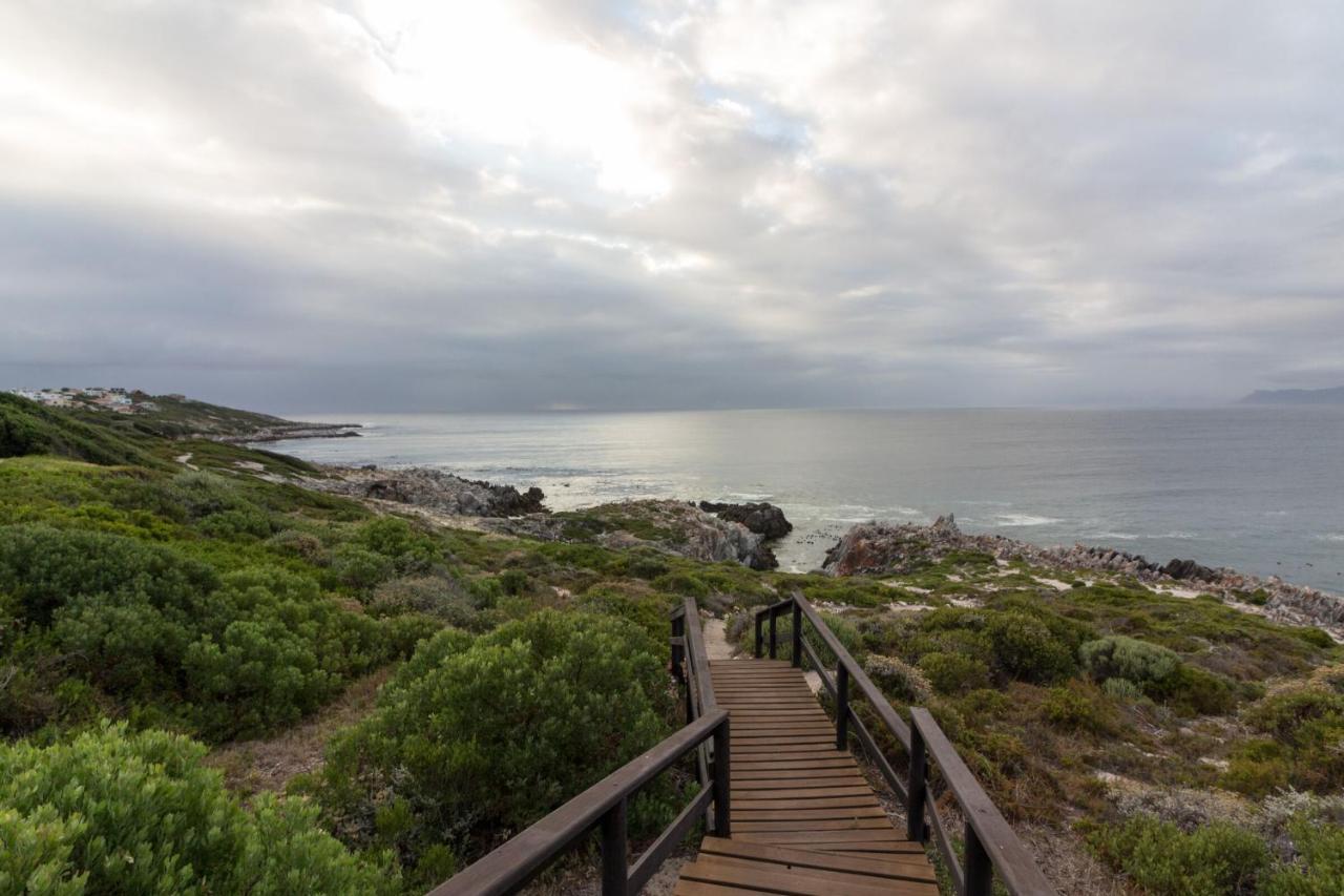 65Oncliff Hotell Gansbaai Eksteriør bilde