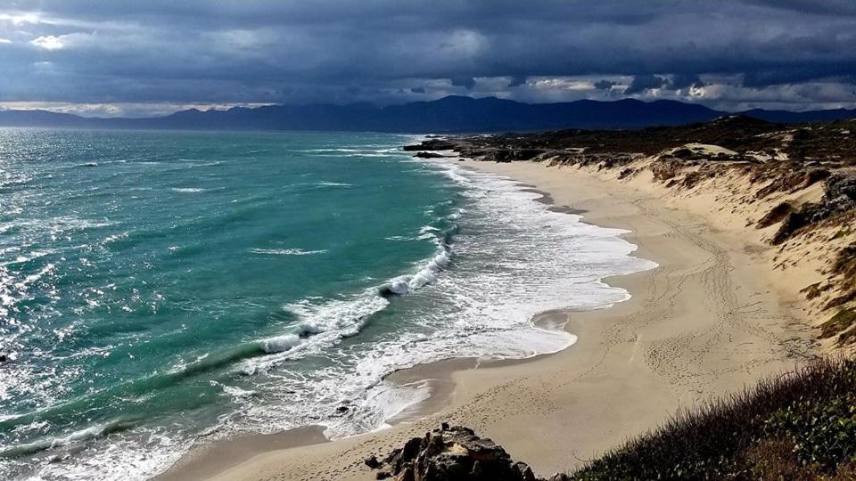 65Oncliff Hotell Gansbaai Eksteriør bilde