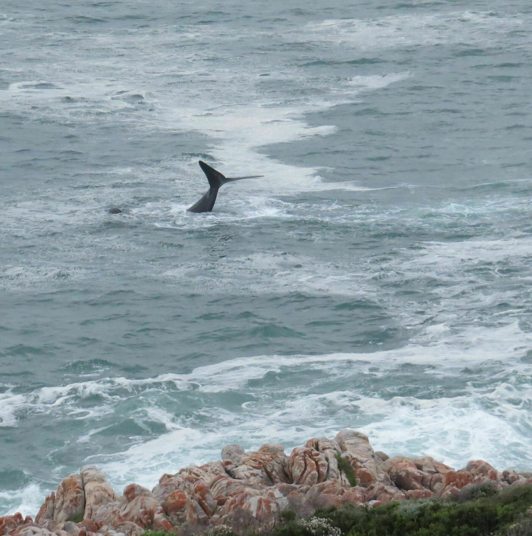65Oncliff Hotell Gansbaai Eksteriør bilde